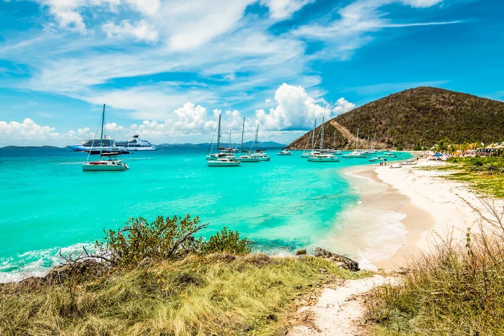 Sailboats and yachts float on turquoise water near a sandy beach with lush green hills under a bright blue sky with clouds. Grassy shrubs line the shore in the foreground.