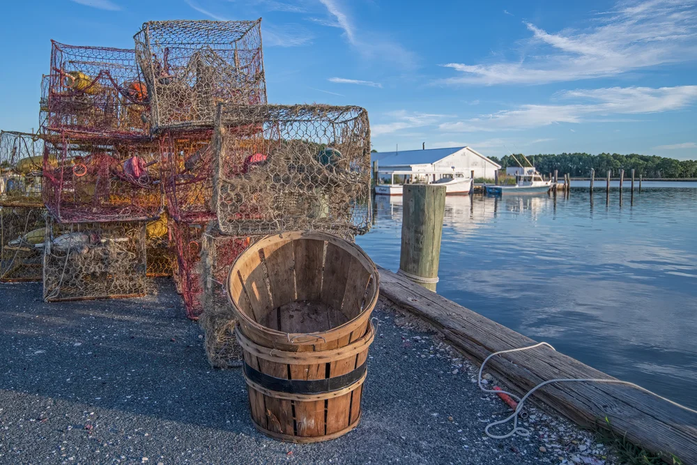 A stack of crab traps and a wooden basket sit on a dock by calm water, with boats and a white building in the background under a blue sky.