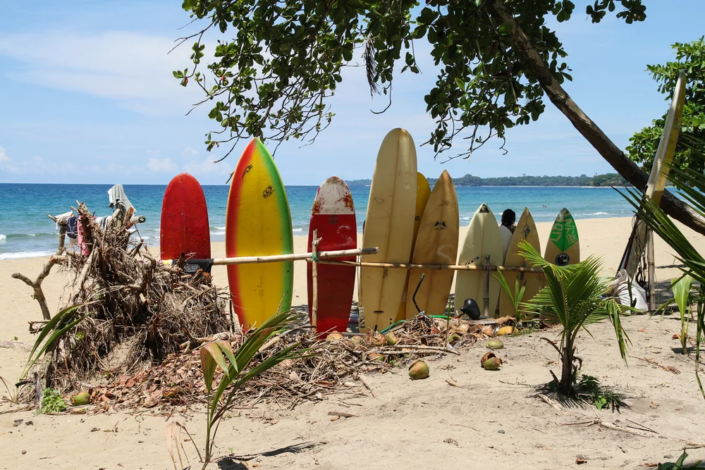 Several colorful surfboards are propped upright in the sand near a wooden fence on a sunny beach, with the ocean and blue sky in the background and leafy branches overhead.