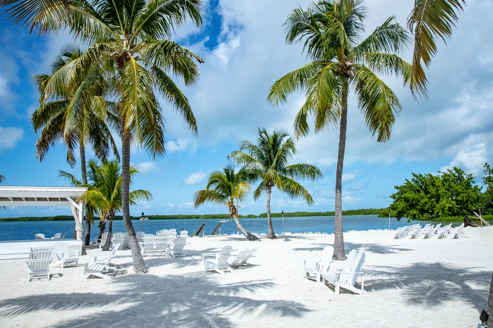 Palm trees and white Adirondack chairs are scattered across a sandy beach, with bright blue sky, some clouds, and calm water in the background. A white pergola is on the left side, creating a relaxing tropical scene.