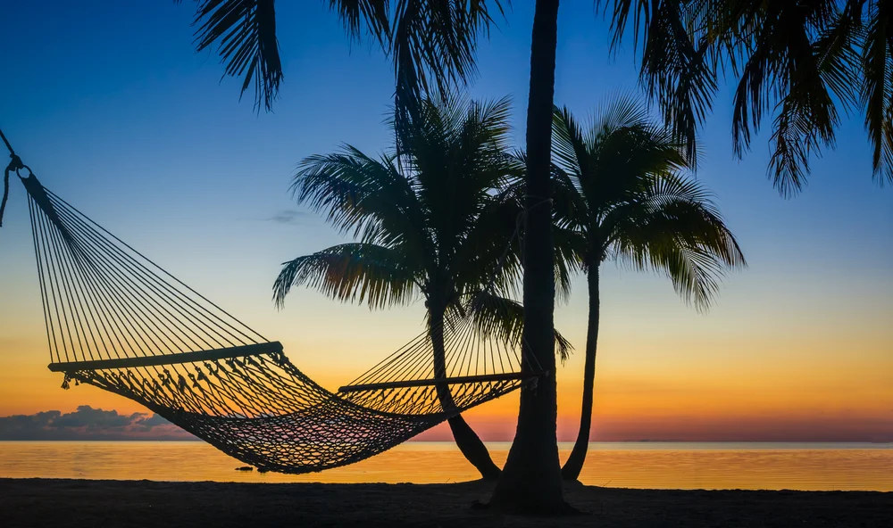 A hammock is strung between two palm trees on a beach at sunset, with calm water and a colorful sky in the background. Silhouetted palm fronds frame the serene scene.