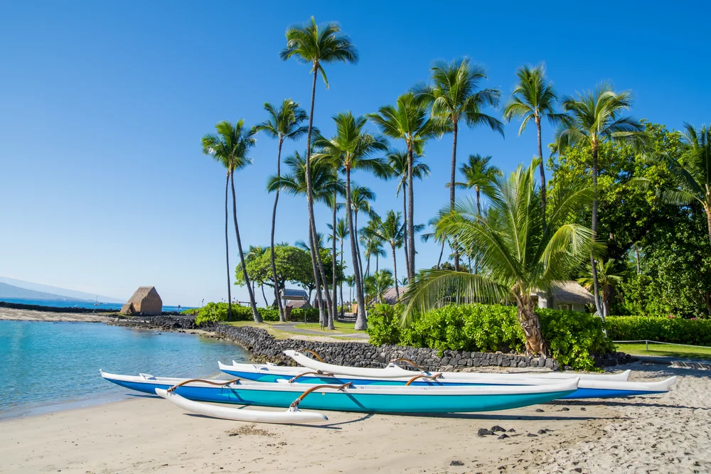 Four outrigger canoes rest on a sandy beach next to clear blue water, with tall palm trees, green bushes, and a small thatched hut in the background under a bright blue sky.