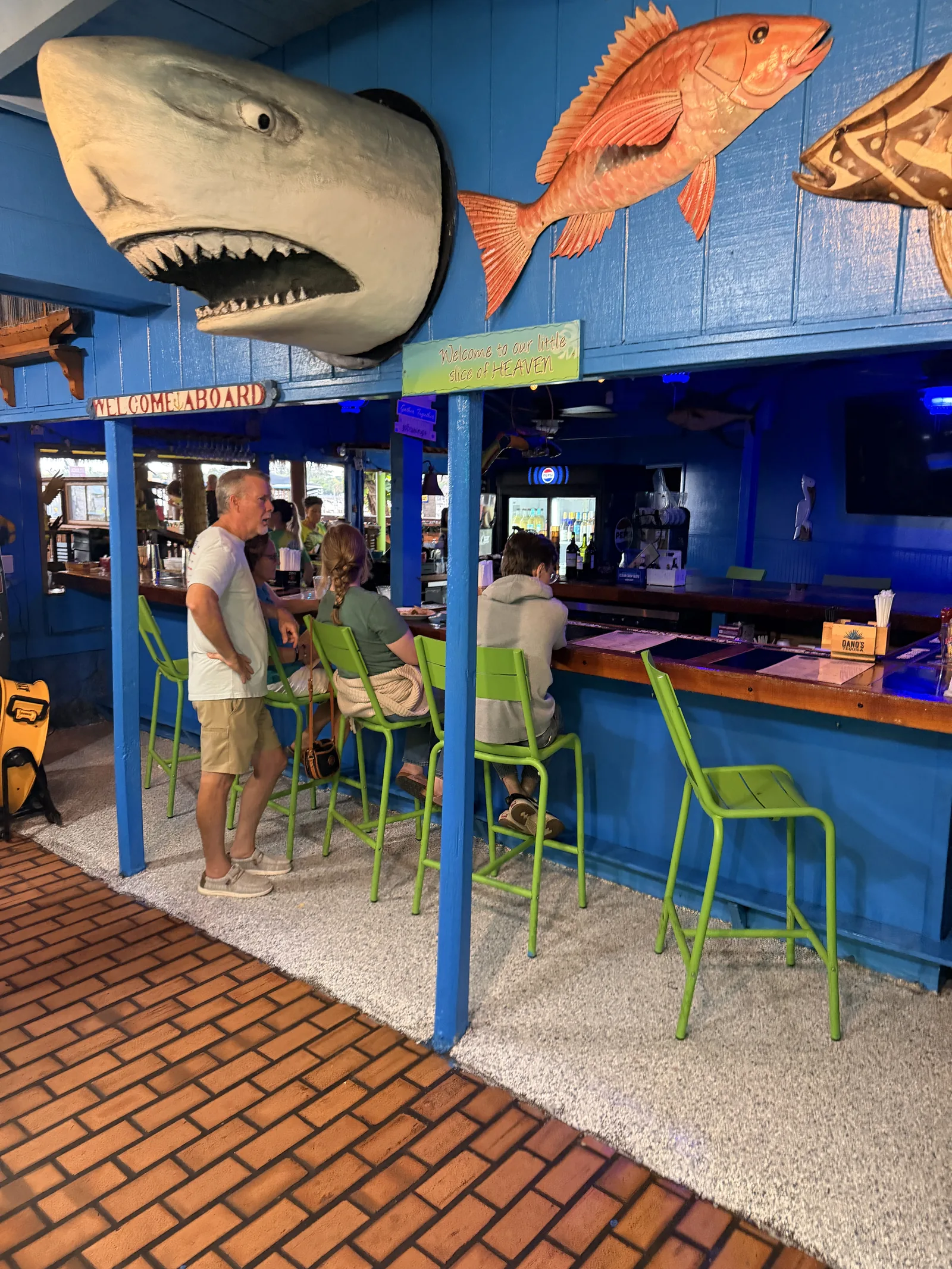 Green barstools at the indoor bar at Old Key Lime House, a shark head mounted above the blue wall