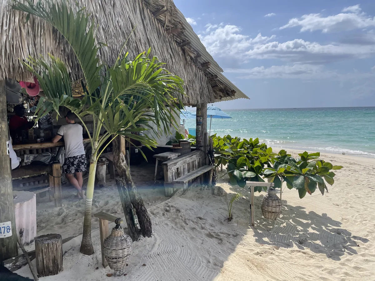 Tony's Hut from the beach, palms and thatch roof beside the Caribbean and white sand