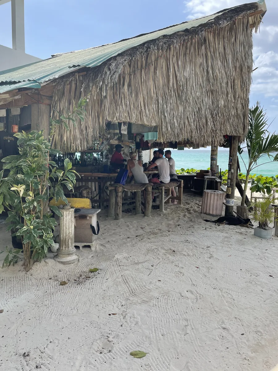 The thatch roof of Tony's Hut seen from the sand, with turquoise Caribbean water beyond